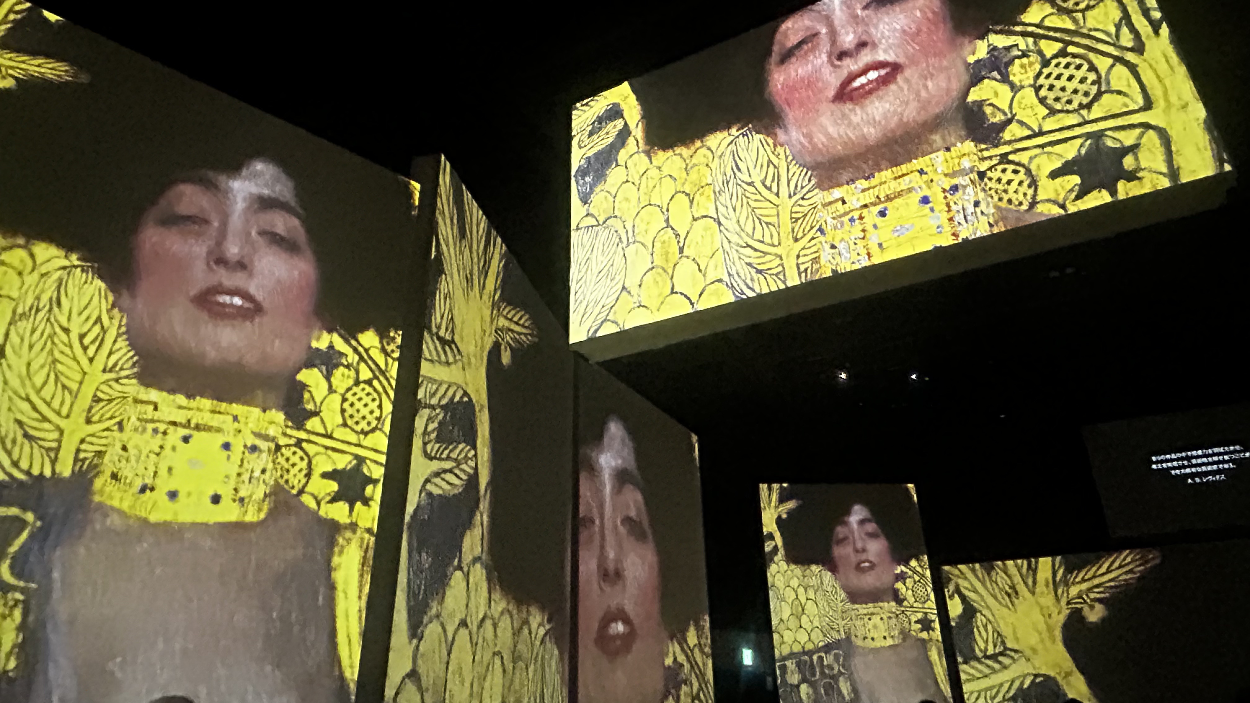 展示会場の写真撮影